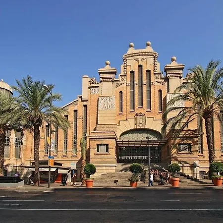 Cactus22 Alicante